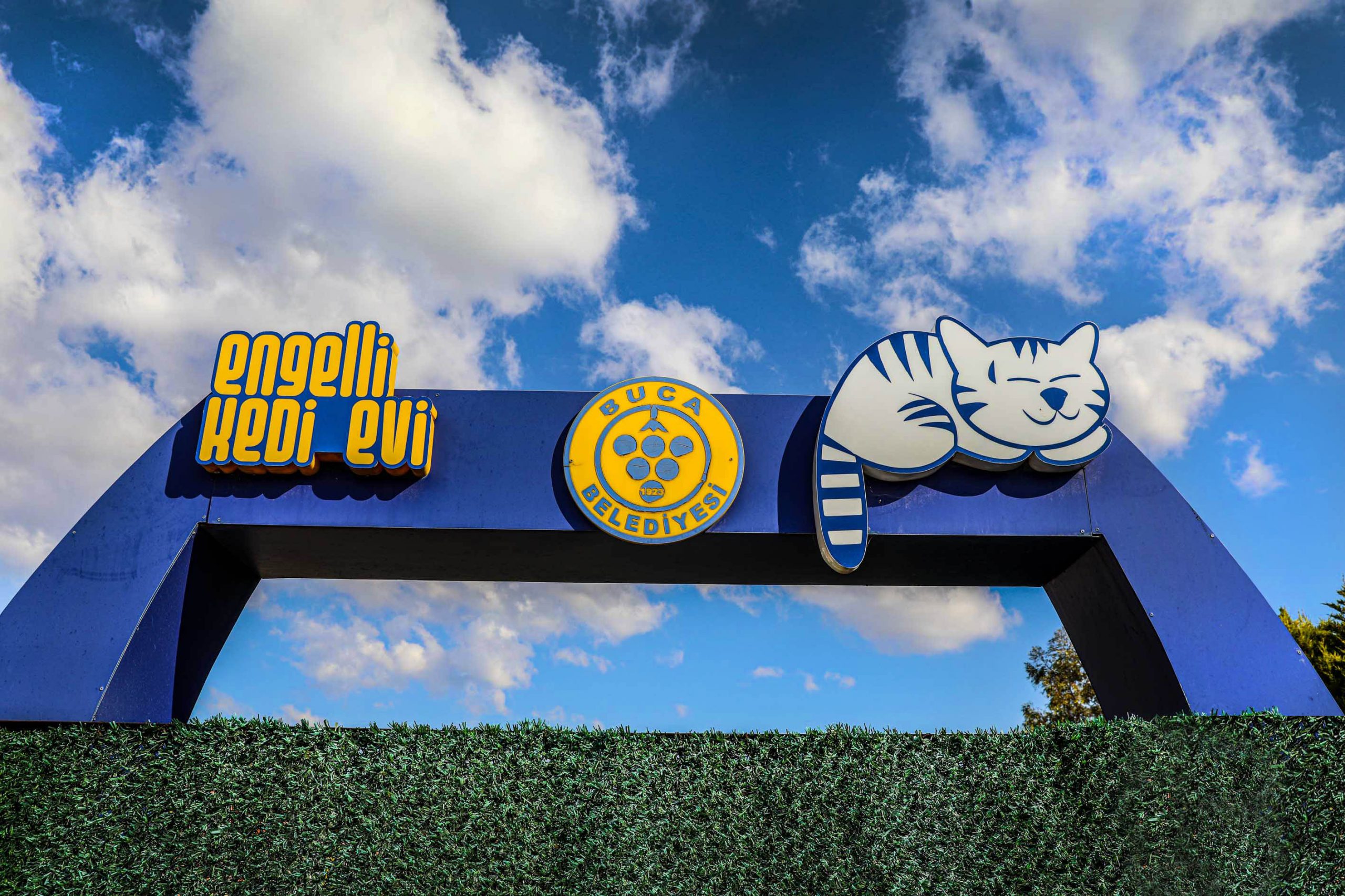 Sokak hayvanlarına kucak açan Buca Belediyesi