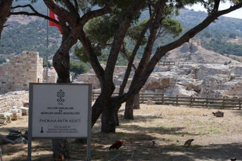 İzmir Müze Müdürlüğü’nde yolsuzluk iddialarına inceleme Ot temizliği yapılmış