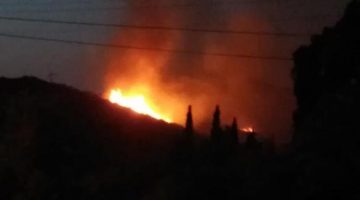 Bodrum’da makilik alanda yangın