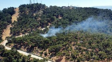 İzmir’de ormanlık alanda yangın!