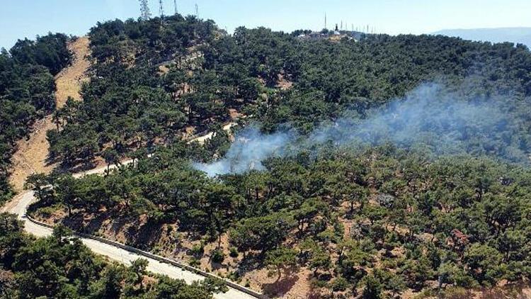 İzmir’de ormanlık alanda yangın!