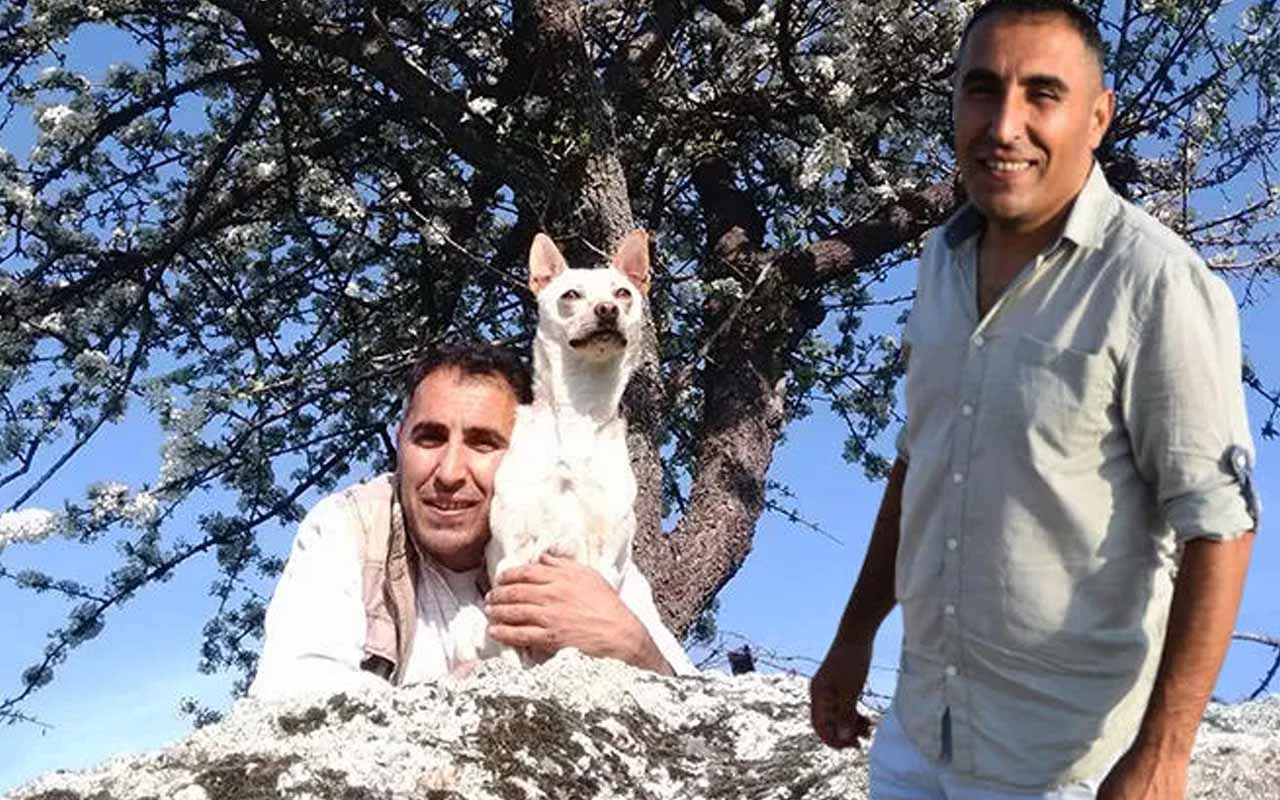 İngiliz turist servetini Türk çalışana bıraktı! Sosyal medyanın konuştuğu miras