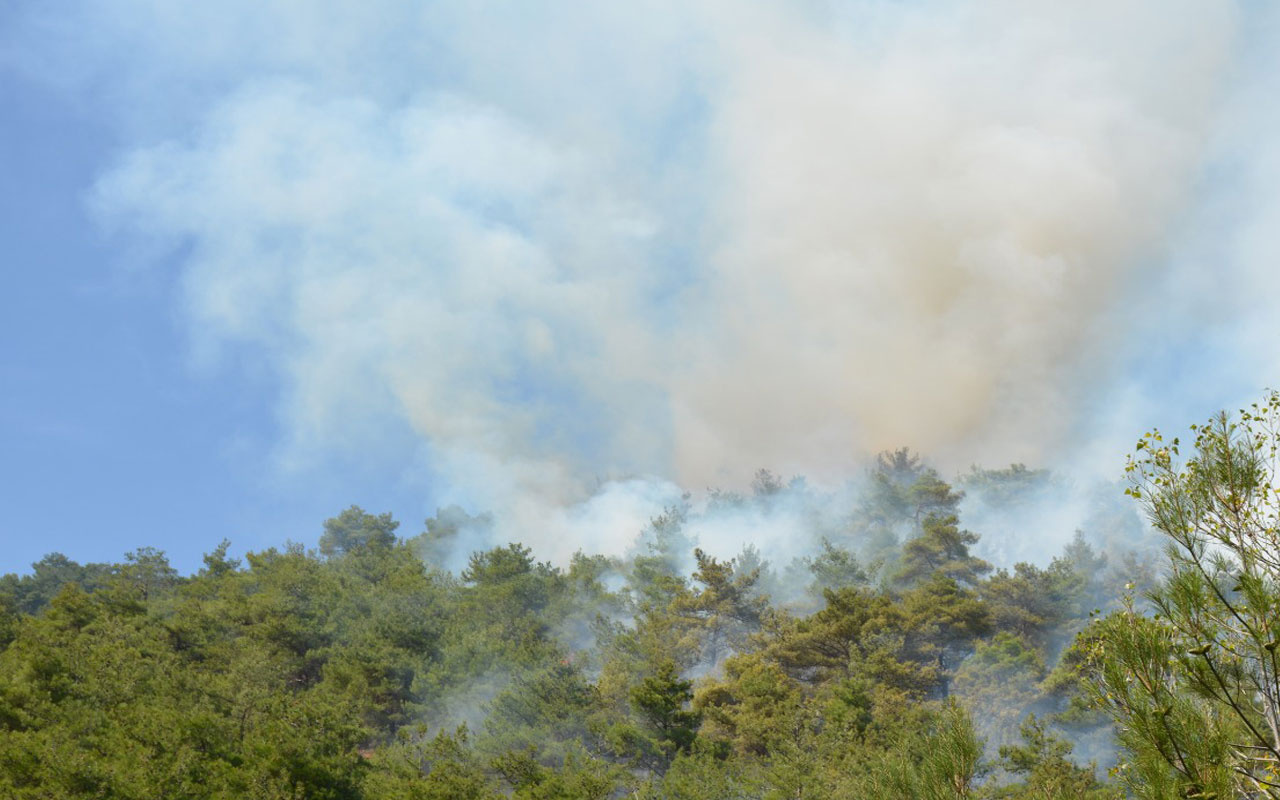 İzmir Kemalpaşa’da orman yangını çıktı! Müdahale sürüyor