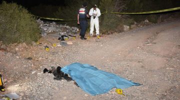 İzmir’de bir kişi ormanda ölü bulundu