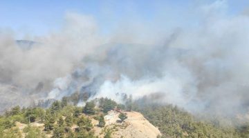 Son dakika Milas’ta orman yangını havadan ve karadan müdahale ediliyor
