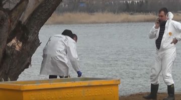 İzmir’de gölde kadın cesedi bulundu! Piknik yapmaya gidenler ihbar etti