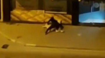 İzmir’de sevgilisinden dayak yedi, polis gelince şikayetçi olmadı