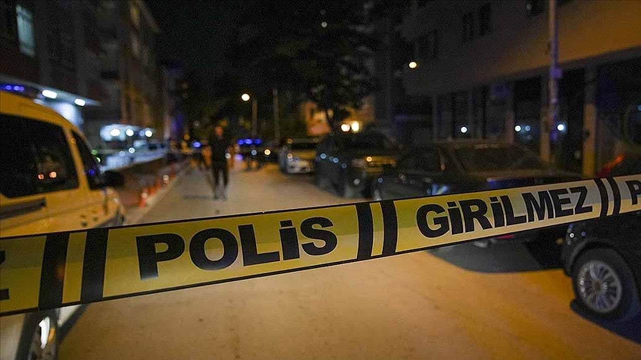 Anneannesini öldüren Bedirhan Şener, müebbet hapse çarptırıldı