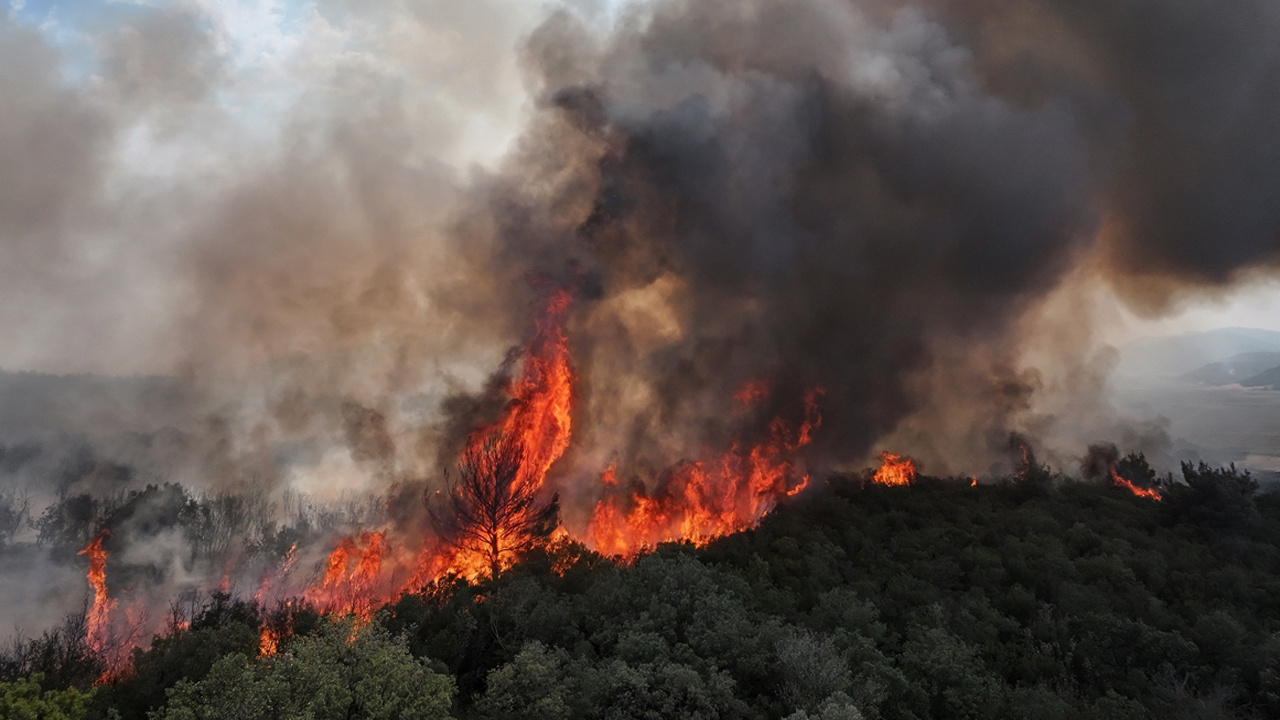 Çanakkale’deki orman yangını! Bakan Yumaklı son durumu açıkladı