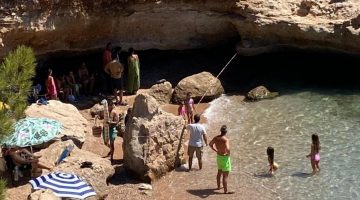 Datça’da sahilde dinlenen fok için bölgeye güvenlik şeridi çekildi