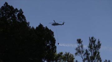 İzmir’de yeni orman yangını çıktı!