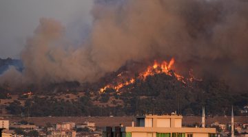 İzmir’deki orman yangınında son durum! Dün başlamıştı