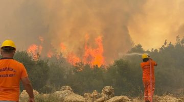 Yumaklı açıkladı! Orman yangınlarına yeni önlem: Av yasağı geliyor