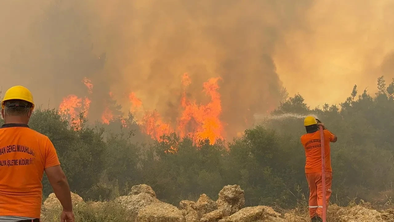 Yumaklı açıkladı! Orman yangınlarına yeni önlem: Av yasağı geliyor