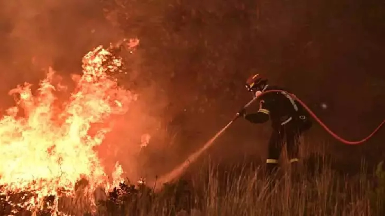 Yunanistan’da bilanço ortaya çıktı! Son 4 günde 242 orman yangını çıktı…