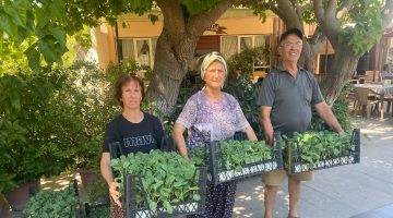 Urla Belediyesi’nden üreticiye 50 bin sebze fidesi