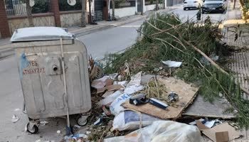 Bornova çöplüğünde fare istilası: Vatandaşlar belediyeye isyan ediyor!