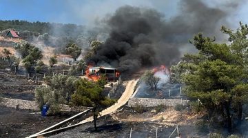 İzmir’de yangın paniği! Alevler ormana sıçradı