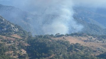 Muğla’nın Köyceğiz ilçesinde korkutan orman yangını