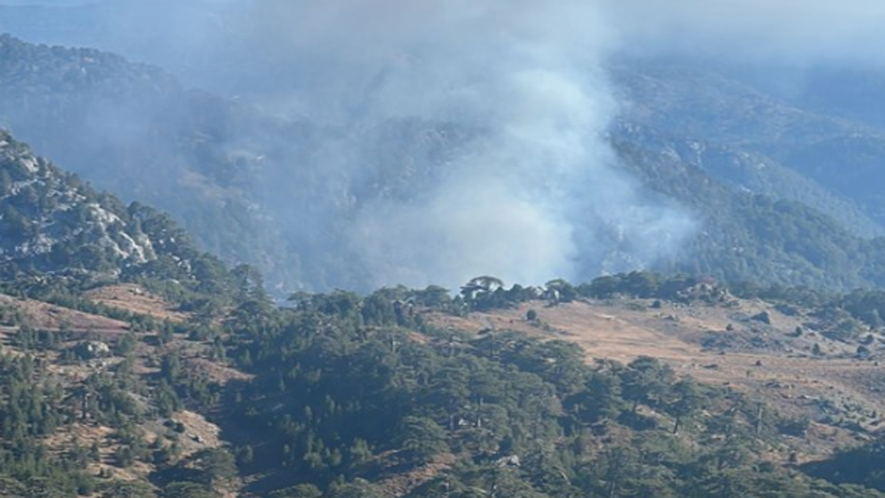 Muğla’nın Köyceğiz ilçesinde korkutan orman yangını