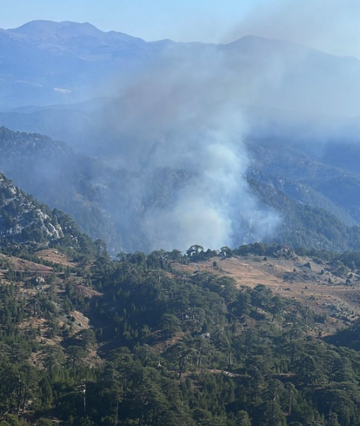 Muğla'nın Köyceğiz ilçesinde korkutan orman yangını - Resim: 0