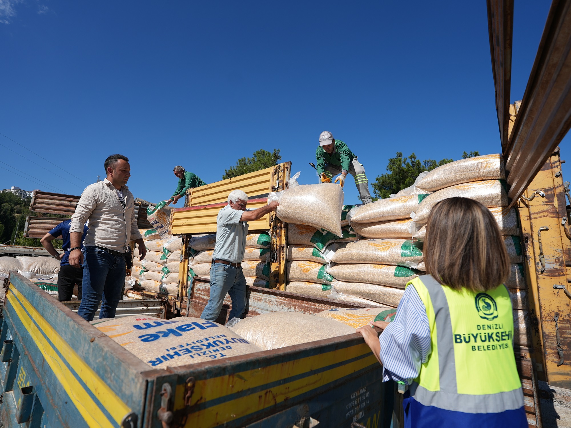 Denizli Büyükşehir’den Yangınzedelere Büyük Destek: Üreticiye 45 Ton Yem ve Saman