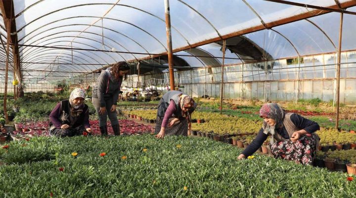 Kadın emeğiyle yerel kalkınma güçleniyor