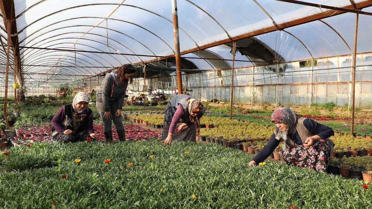 Kadın emeğiyle yerel kalkınma güçleniyor